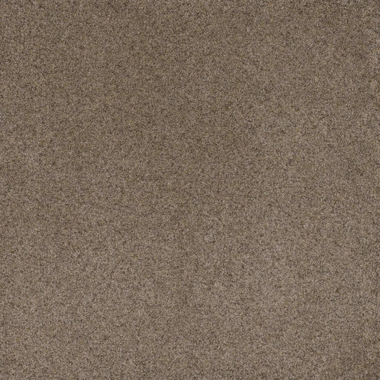 Serene I in Cinnabar Carpet