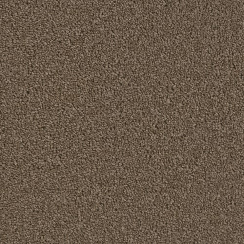 Groundwork Plus in Latte Carpet