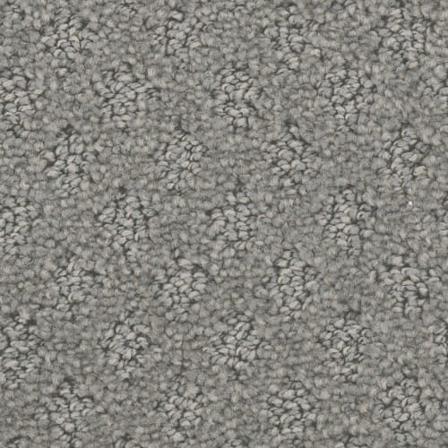 Harding Park in Bayside Carpet