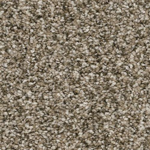 JACKSON HOLE I in Pebble Carpet