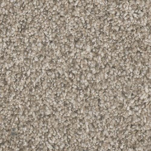 Jackson Hole II in Sunglow Carpet