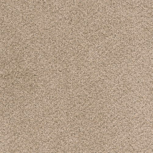 Merriment in Almond Carpet