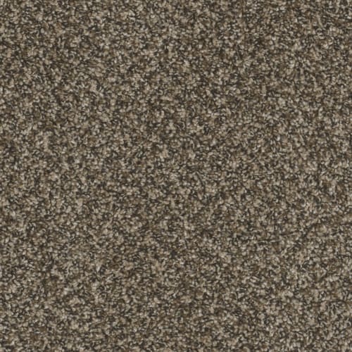 First Class in Black & Tan Carpet