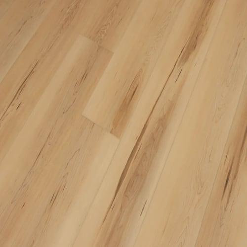 Longboards Collection