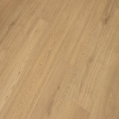 Laguna Collection