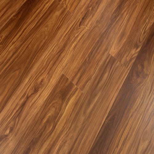 Windansea High Tide Collection