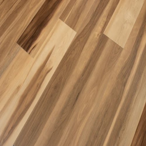 Windansea High Tide Collection