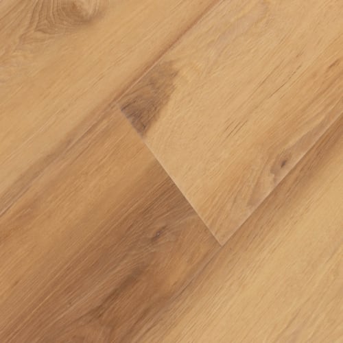 Windansea High Tide Collection