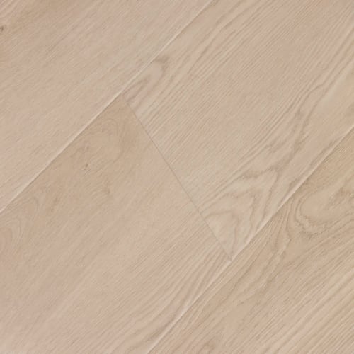 Windansea High Tide Collection