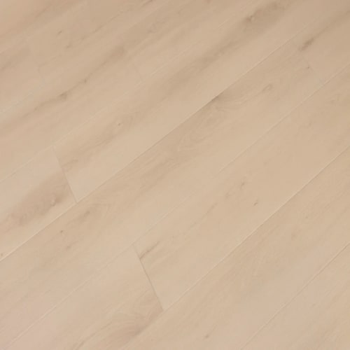 Windansea High Tide Collection