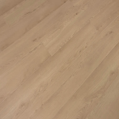 Windansea High Tide Collection