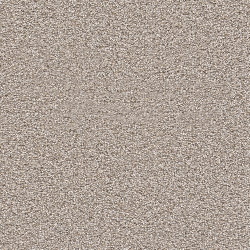 All Star in Iron Frost Carpet