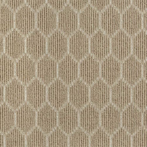 Elements Oasis in Plains Ivory Carpet