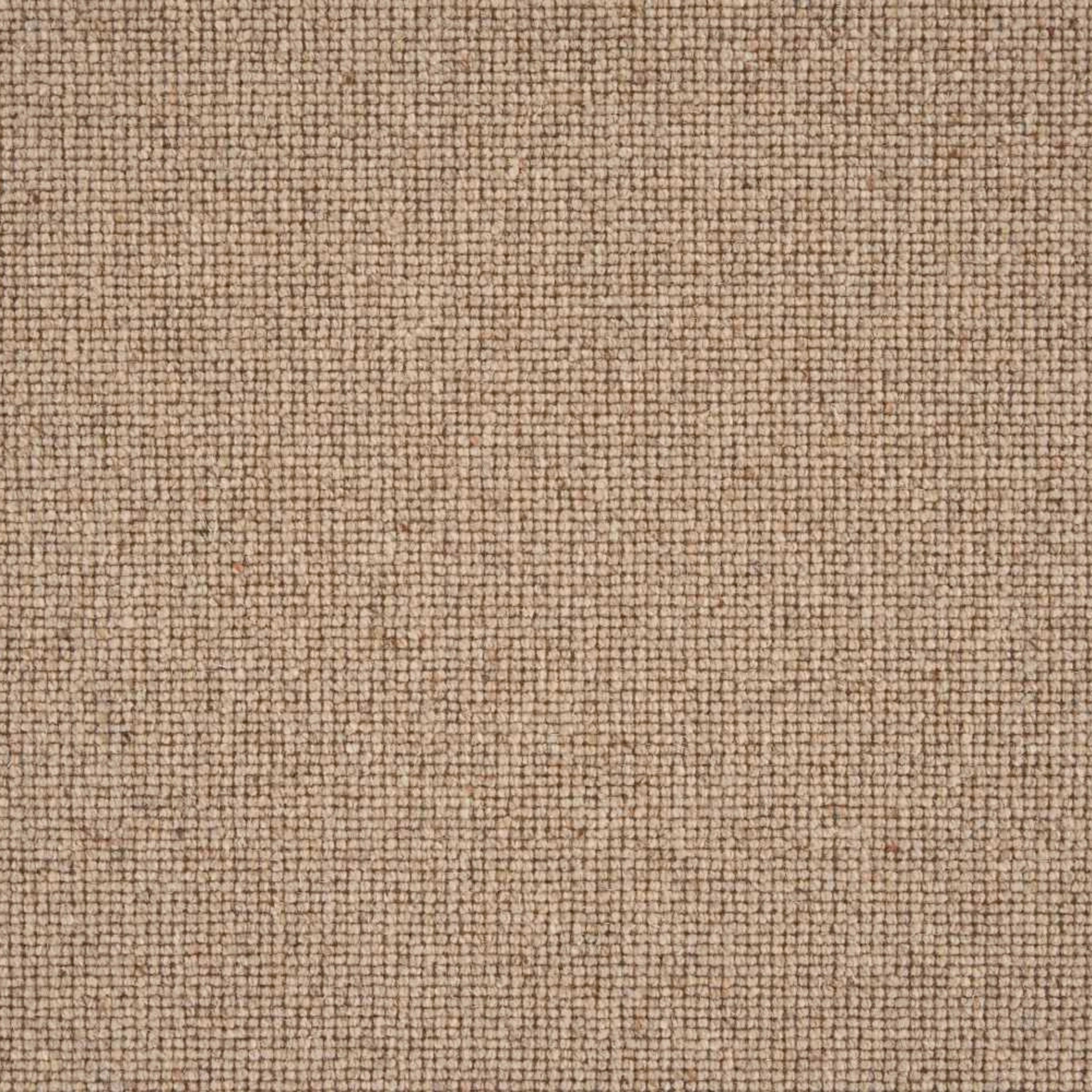Sahara Broadloom in Barley Carpet