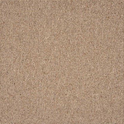 Sahara Broadloom in Barley Carpet