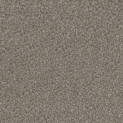 Capella II