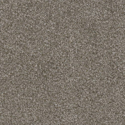 Capella II in Bay Dunes Carpet