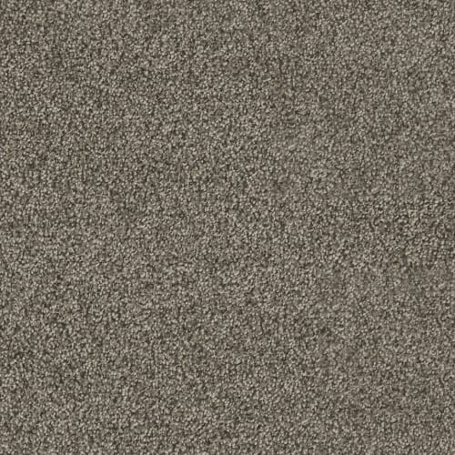 Hollywood in Smoky Quartz Carpet
