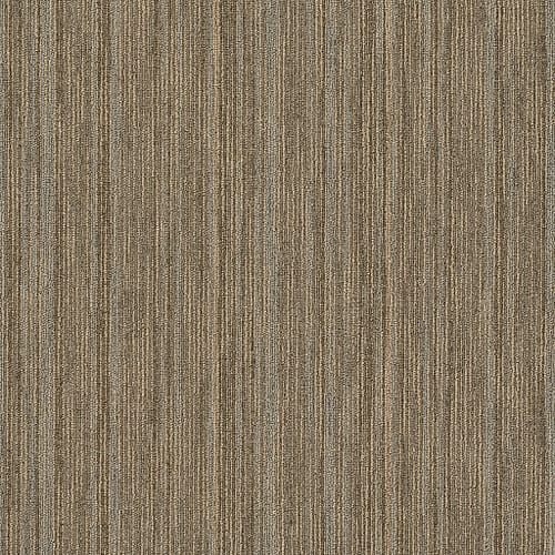 PRAISE in Brilliant Carpet