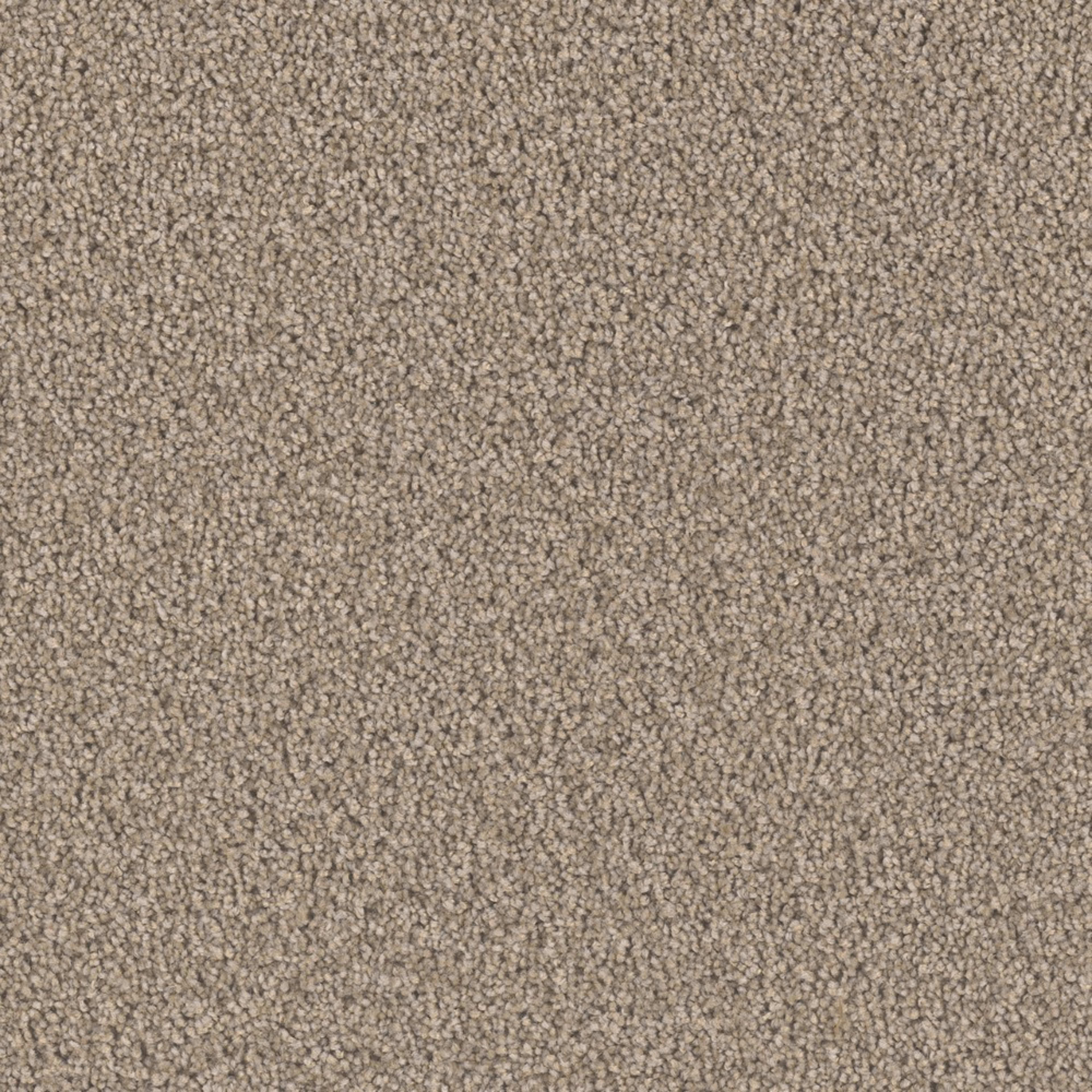 Opulent II in Tigris Carpet