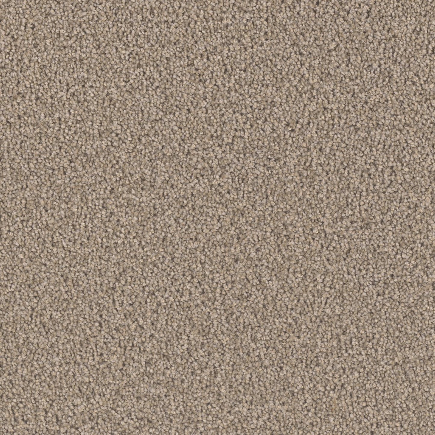 Opulent II in Tigris Carpet