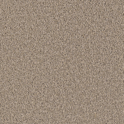 Opulent II in Tigris Carpet