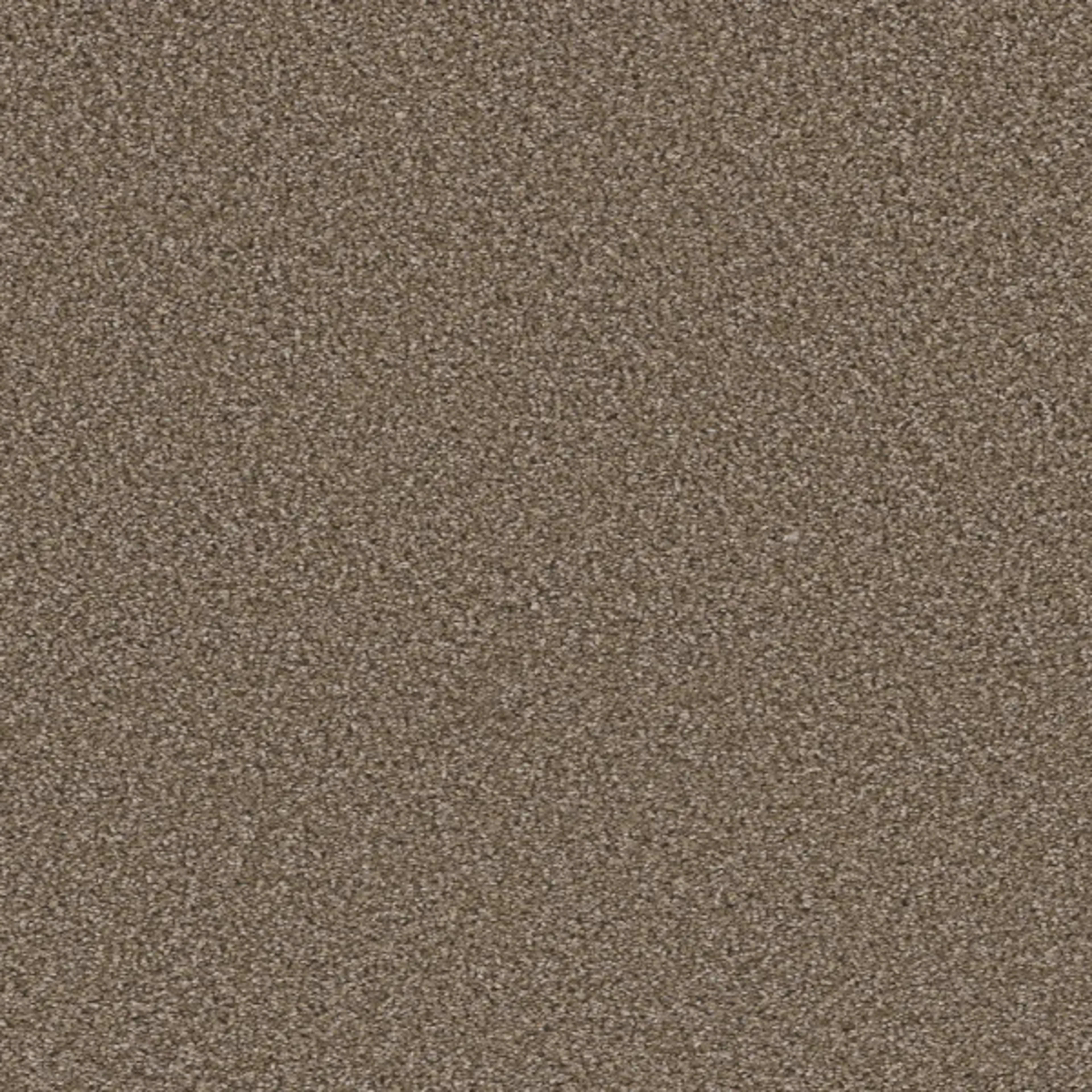METROPOLITAN II in Acorn Carpet