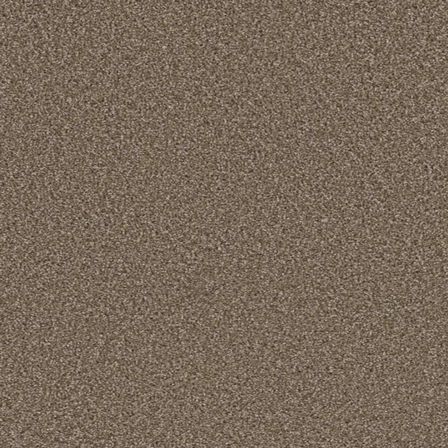 METROPOLITAN II in Acorn Carpet