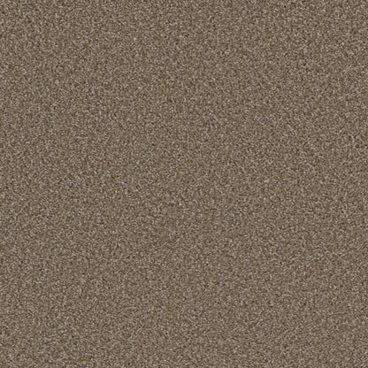 METROPOLITAN II in Acorn Carpet