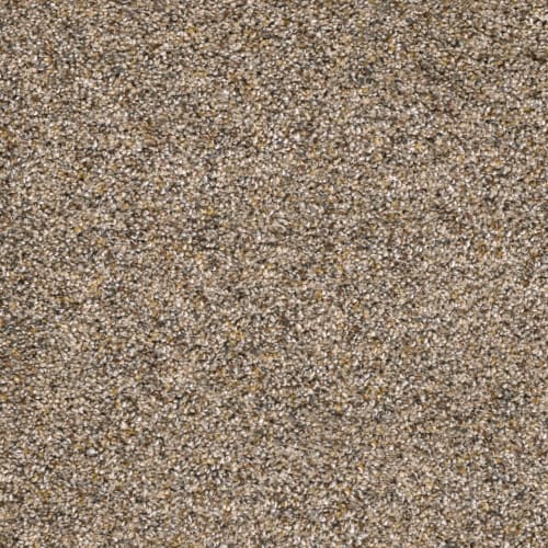 Classio I in Bisque Carpet