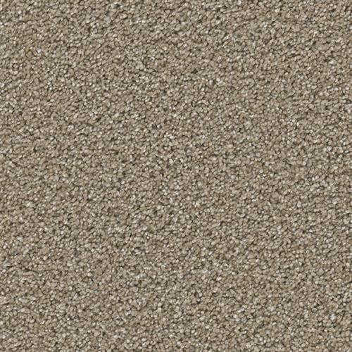 COSMOPOLITAN II in Acorn Carpet