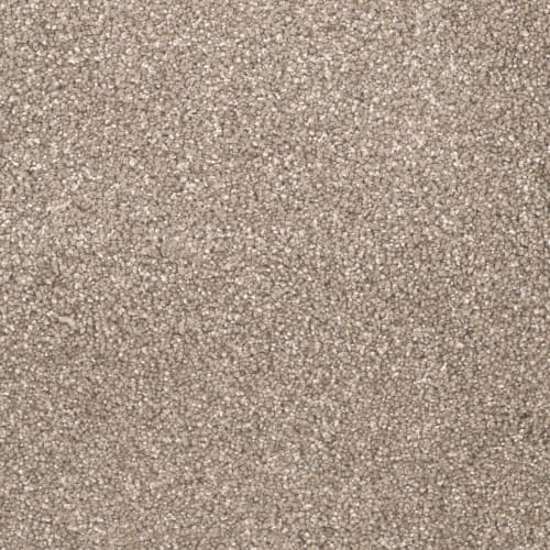City Lights II in Acorn Carpet