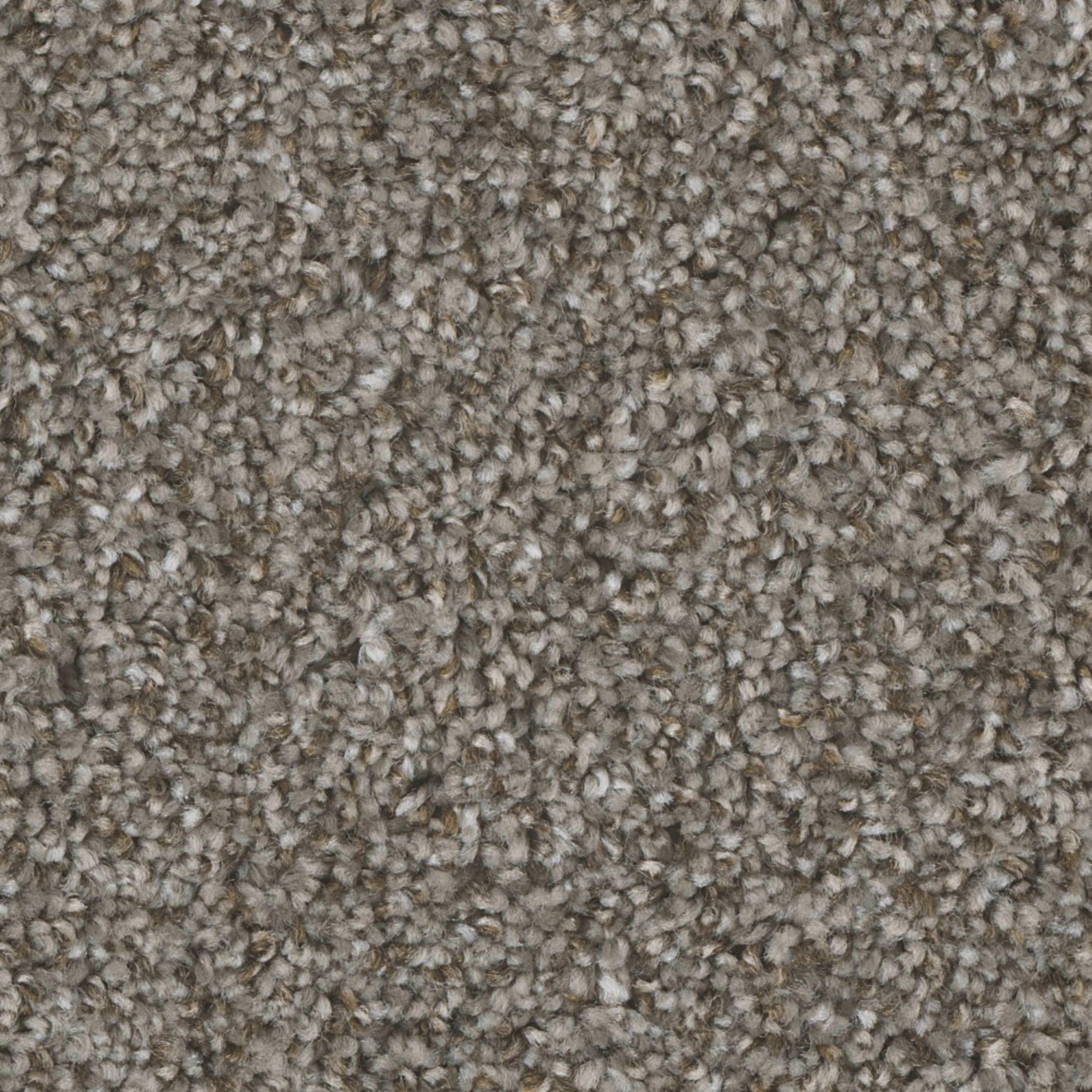Mount Rainier II in Bay Dunes Carpet