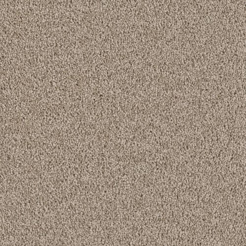 Colonial Plus in Sandstone Carpet
