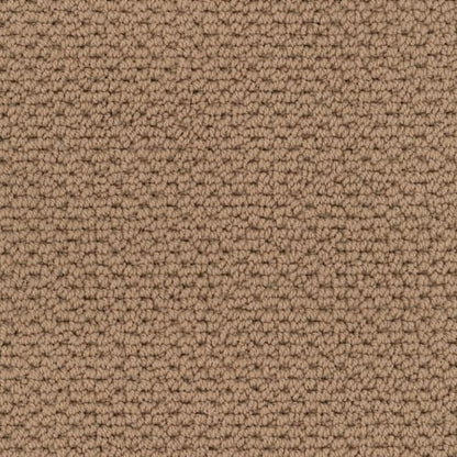 Beachfront in Picnic Basket Carpet