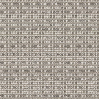 Coronado in Boardwalk Carpet