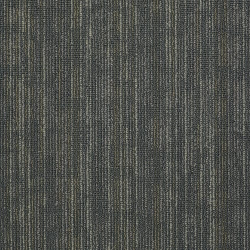 LINKED in Shocked Carpet