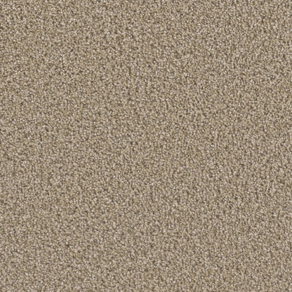 Manhattan in Straw Carpet