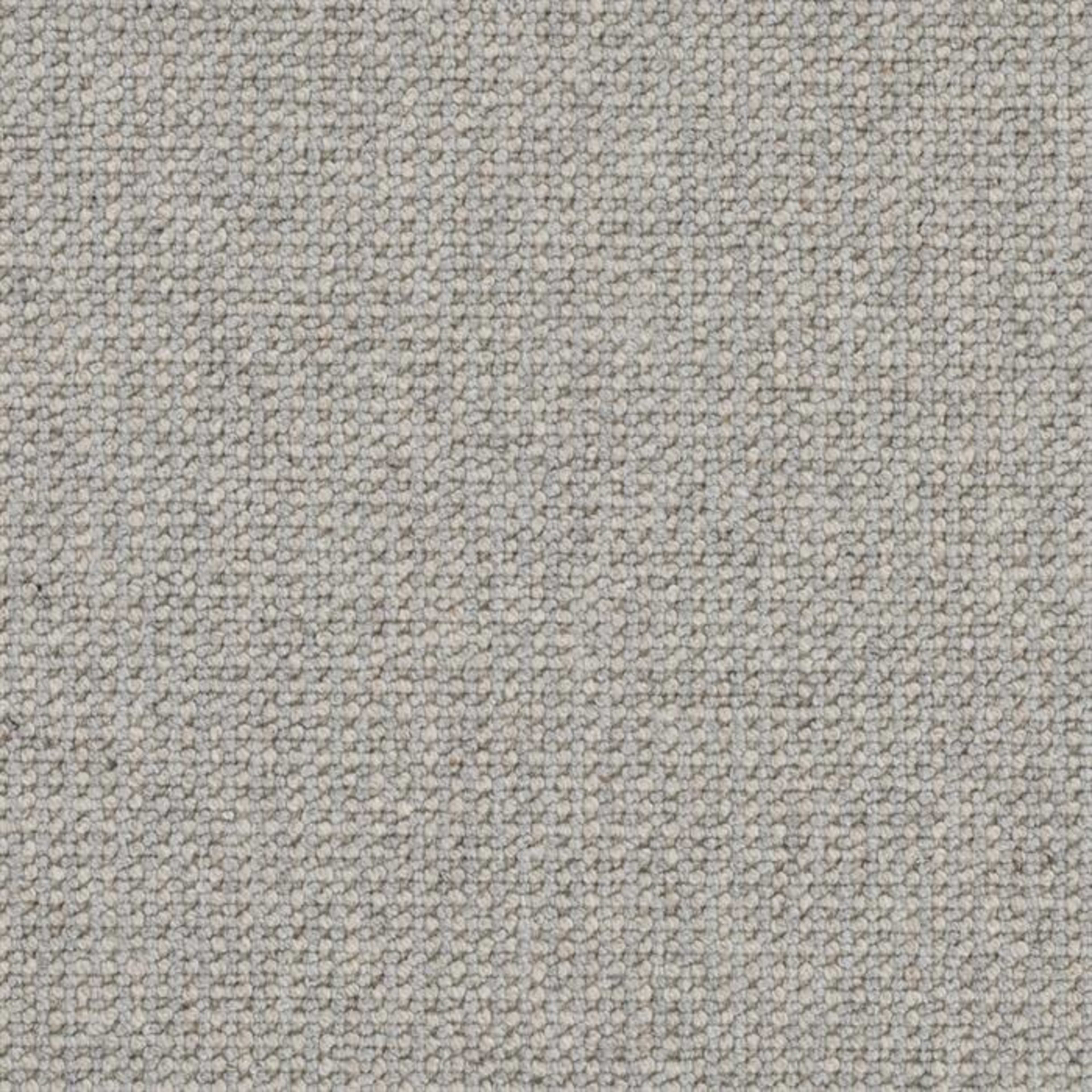 Perception in Ash Carpet