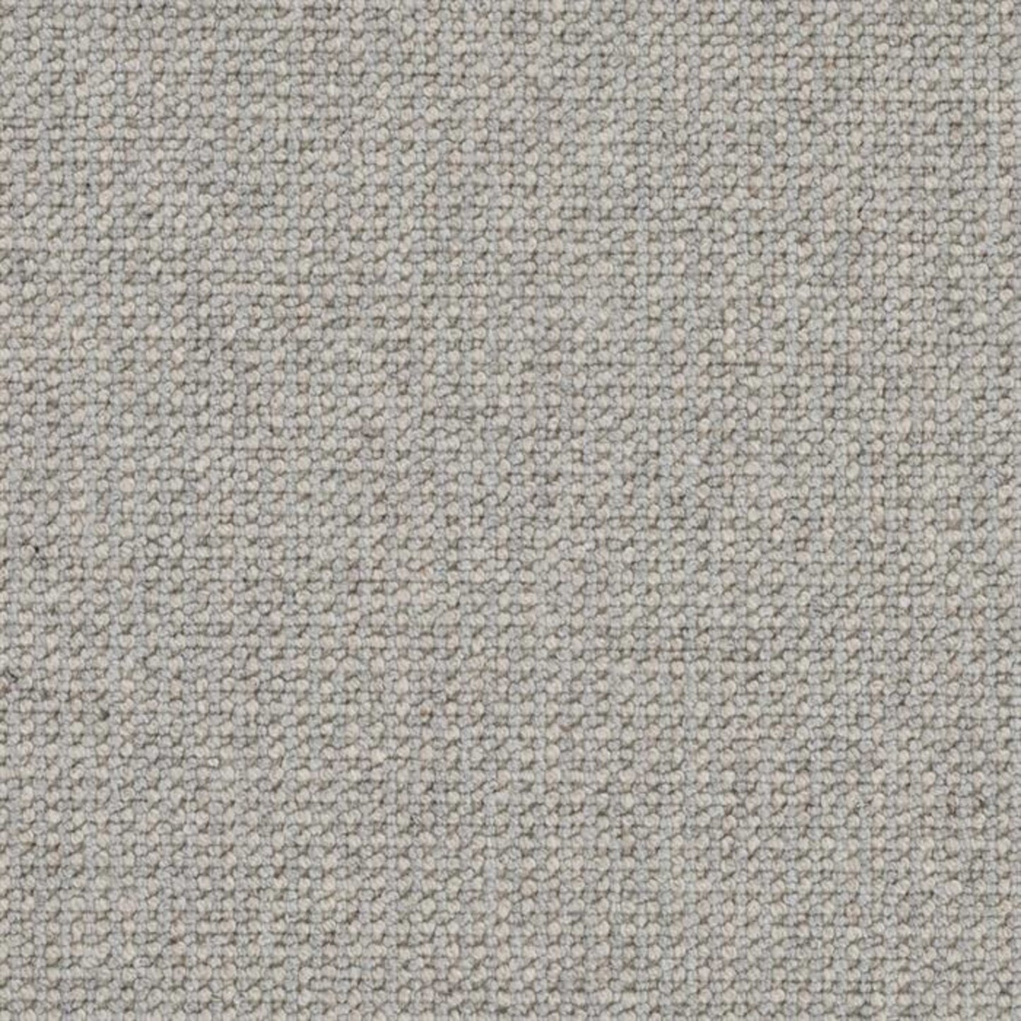 Perception in Ash Carpet