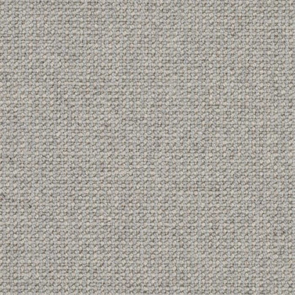 Perception in Ash Carpet