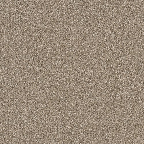 Manhattan in Acorn Carpet