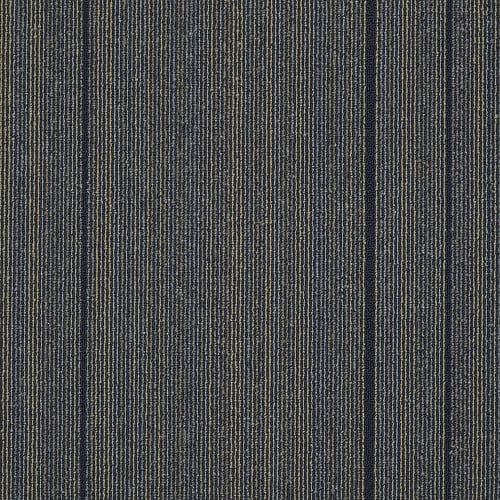 JAZZED in Jolted Carpet