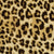 Leopard Flooring by Masland Carpets