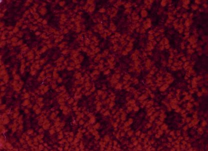 Seurat