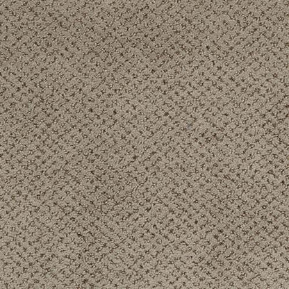 Montauk Flooring by Masland Carpets