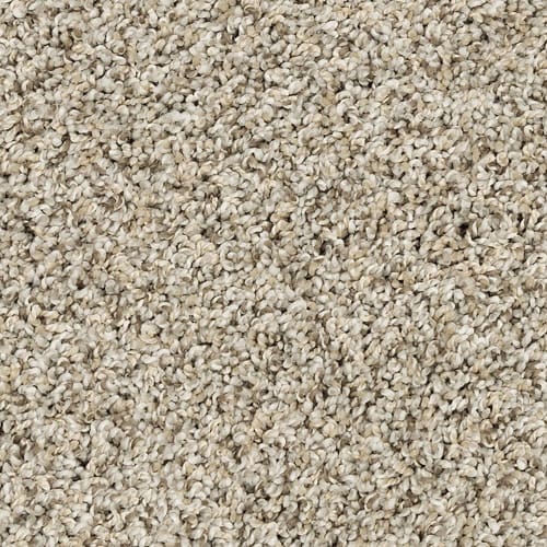 Raise The Woof I in Oyster Carpet