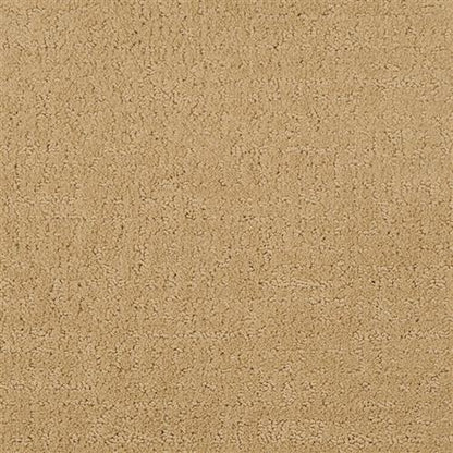 Matisse Flooring by Masland Carpets