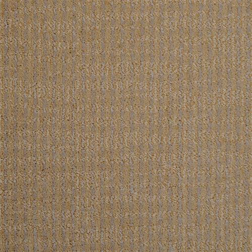 Style Sense in Sundance Carpet