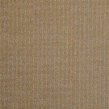 Style Sense in Sundance Carpet